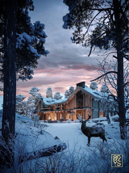 Projects - House Projects - Chalet 21528 Sq.ft. - A photo  2